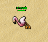 Knoob